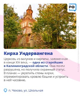 Иллюстрация 1