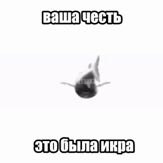 В порту Петербурга обнаружена крупная партия кокаина в контейнере с тунцом