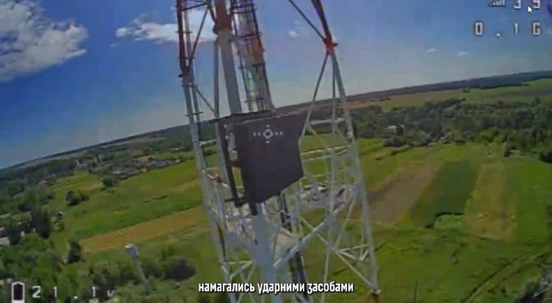 Иллюстрация 1