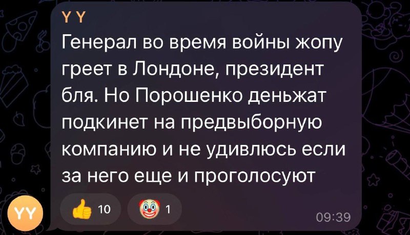 Критика планов проведения выборов в Украине и возможного участия Залужного