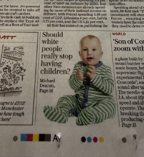 The Telegraph задает вопрос о деторождении белых людей
