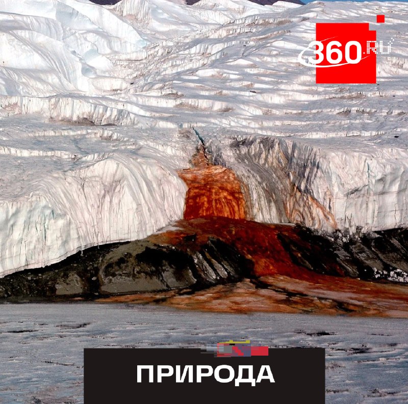 Загадка «кровавого водопада» в Антарктиде разгадана: ученые выяснили причину красного цвета воды