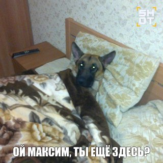 Максимы вылетели из топ-5 самых популярных мужских имён