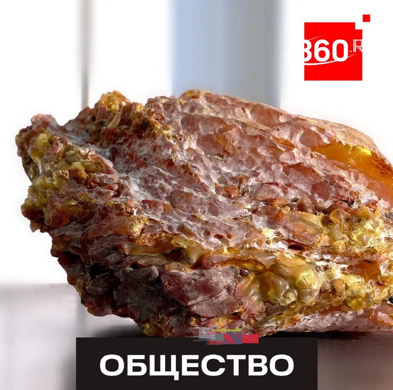 В Калининграде нашли уникальный янтарный самородок «Юбиляр» весом 1,5 кг