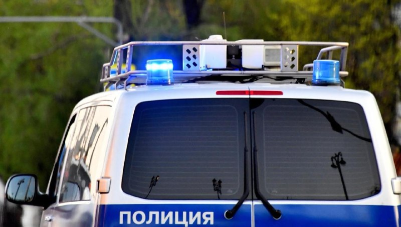 В Москве задержан мужчина, напавший на женщину с ребенком