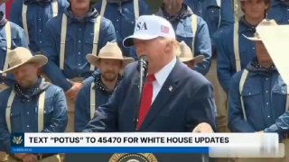 Провокационная цитата Дональда Трампа
