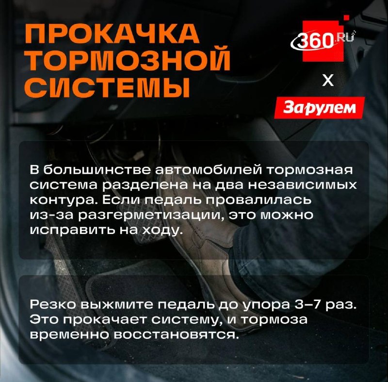 Иллюстрация 2