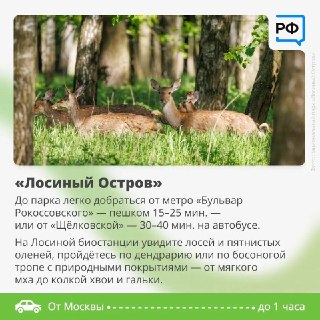 Иллюстрация 2