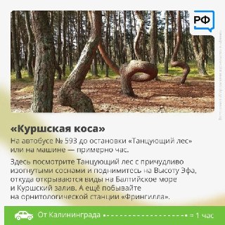 Иллюстрация 4