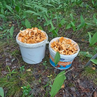 Иллюстрация 2