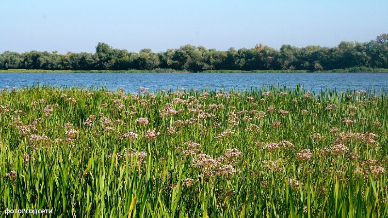 Школьника унесло течением во время рыбалки в Астраханской области