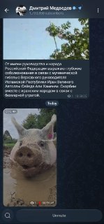 Медведев запостил и удалил видео со свиньей