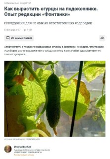 Никаких тревожных новостей воскресным утром. Только дачное и вечное 🥒