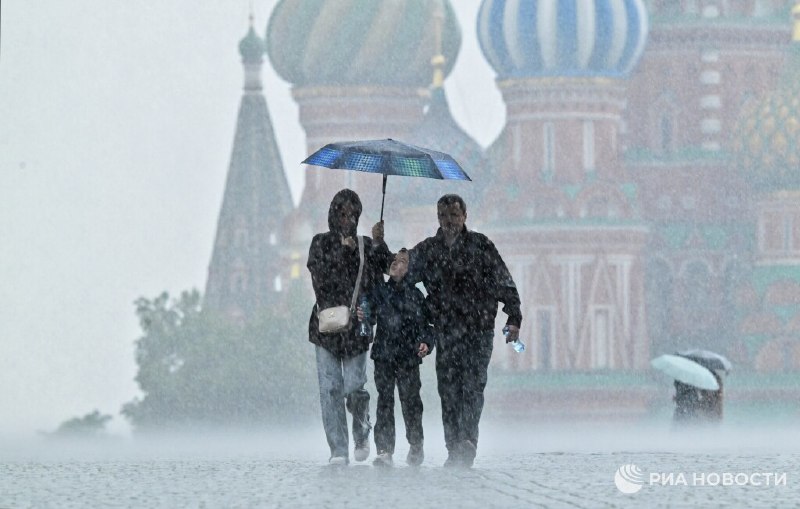 В Москве на следующей неделе ожидаются сильные «огуречные» дожди