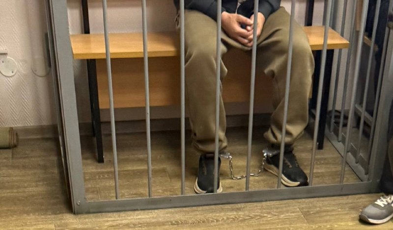 В Ленобласти арестован подозреваемый в убийстве 12-летней школьницы