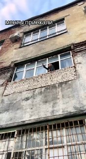 Иллюстрация 3