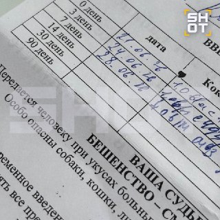 Иллюстрация 3