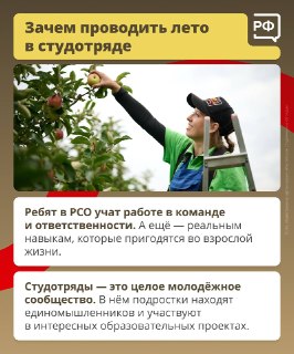 Иллюстрация 3