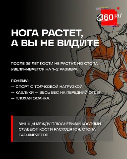 Иллюстрация 5