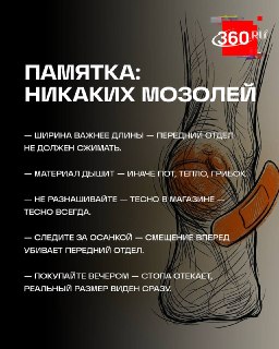 Иллюстрация 7