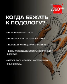 Иллюстрация 1
