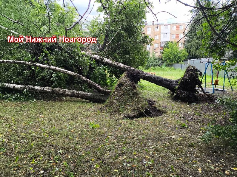 Иллюстрация 5