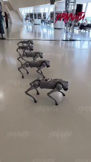 Иллюстрация 2