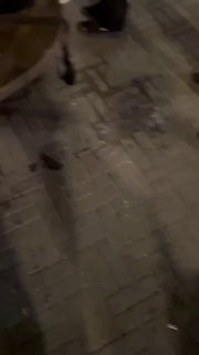 Иллюстрация 2