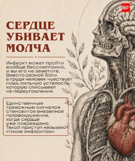 Иллюстрация 2