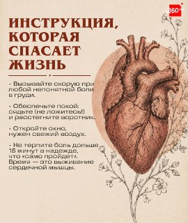 Иллюстрация 6
