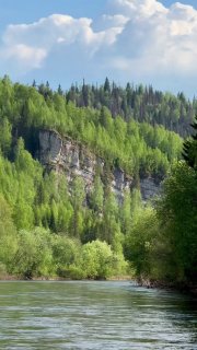 Красота уральской тайги в солнечную погоду