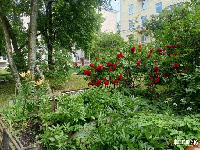 В МО «Гавань» обсудили варианты благоустройства двора на Гаванской