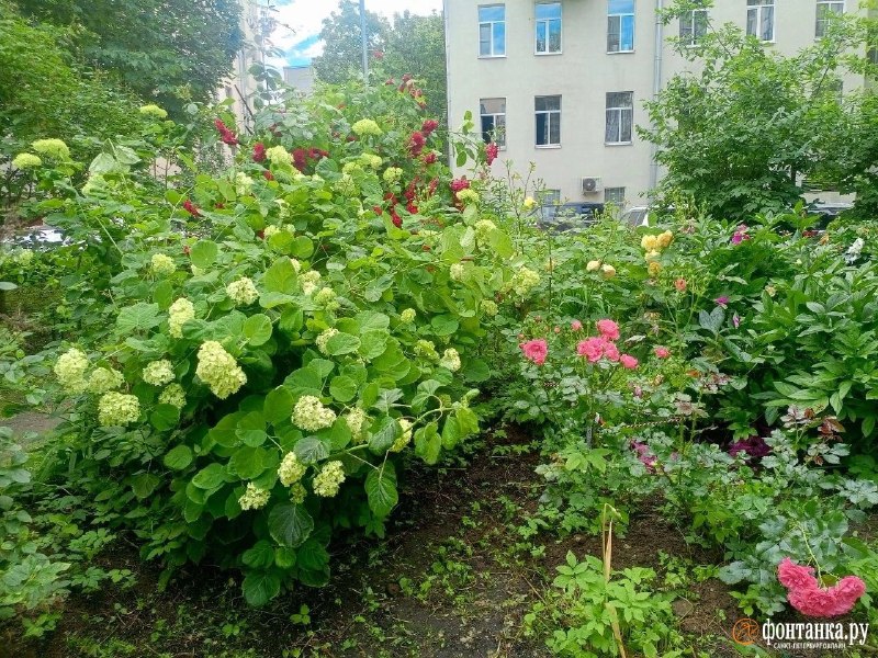 Иллюстрация 3