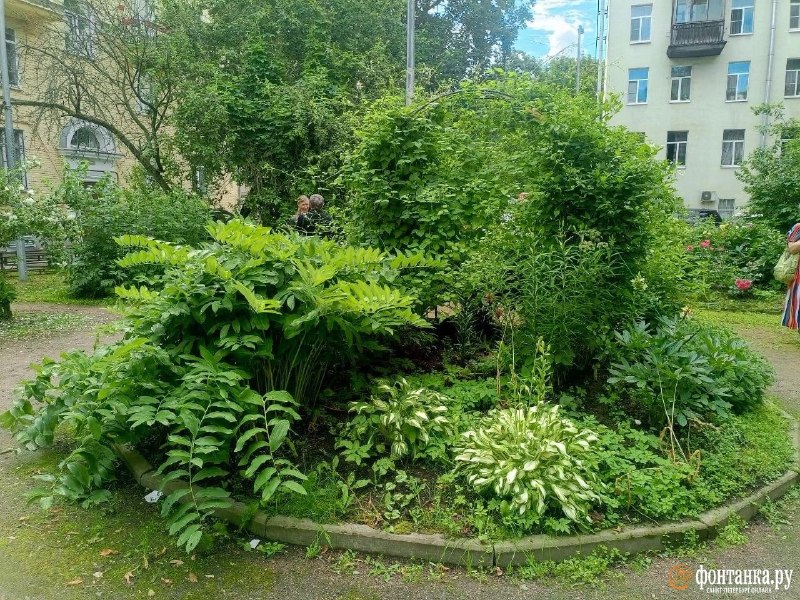 Иллюстрация 1