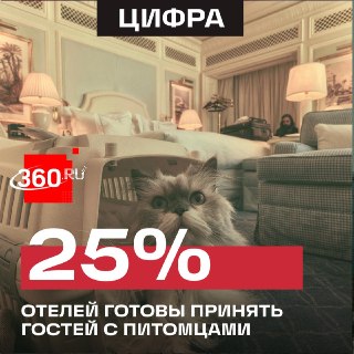 Российские отели чаще открывают двери для гостей с питомцами