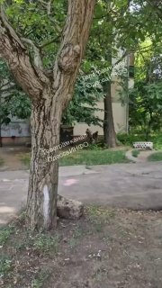 В Одессе военкомы избили мужчину и применили газ против местных жителей