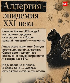 Иллюстрация 3