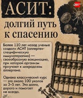 Иллюстрация 4