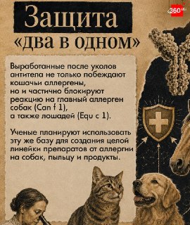 Иллюстрация 6