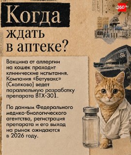 В России разрабатывают вакцины против аллергии на кошек и собак