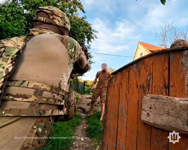 Иллюстрация 1
