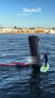 У набережной Лейтенанта Шмидта спасают застрявшую чайку