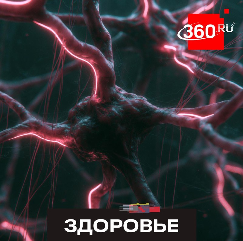 Нерв, который управляет стрессом