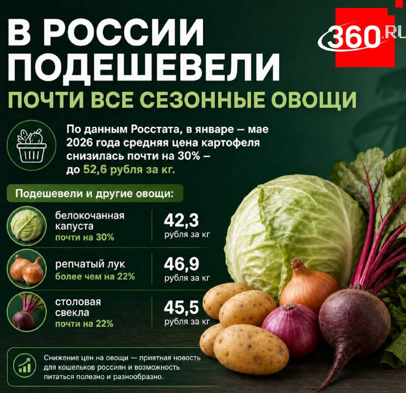 Цены на сезонные овощи в России стали заметно ниже