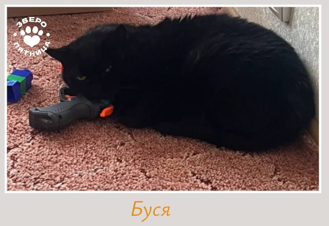 Иллюстрация 7
