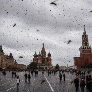 В Москве в конце июля ожидается резкий рост активности комаров