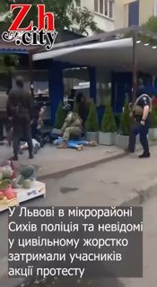 Иллюстрация 1