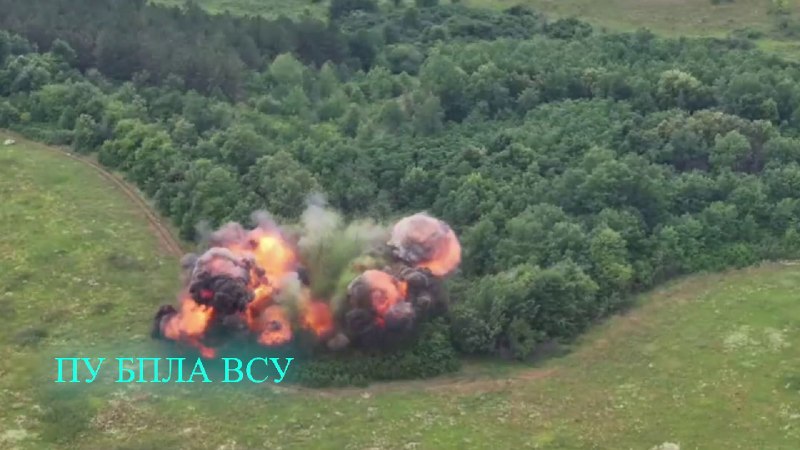 Иллюстрация 4