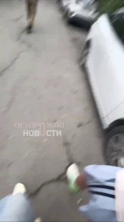Иллюстрация 1