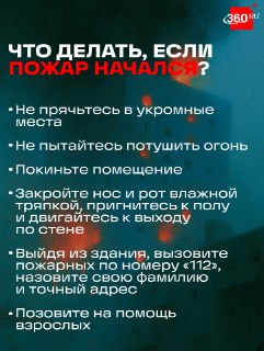 Иллюстрация 2